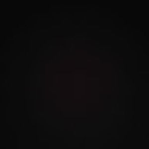 Meet your Posher, Brady